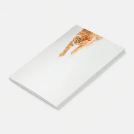 Tabby orange Post-it® Notes 4 x 6 (Incliné)