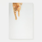 Tabby orange Post-it® Notes 4 x 6 (Devant)