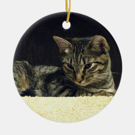 Tabby Ornament (Voorkant)