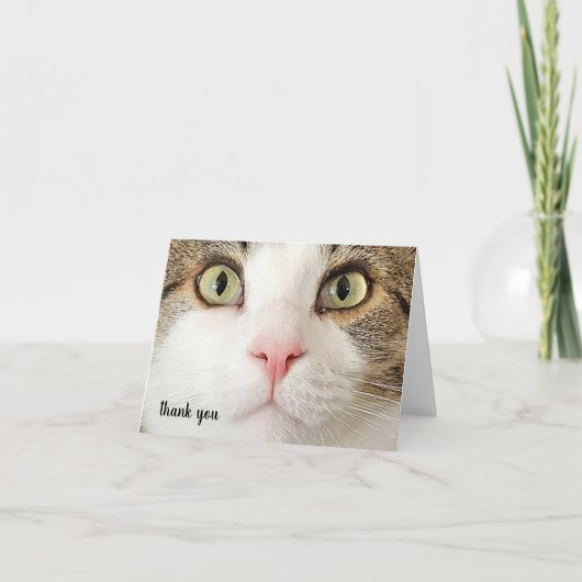 Tabby Pet Care Hartelijk dank Bedankkaart (Voorkant)