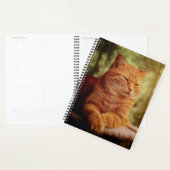 Tabby Planner (Display)