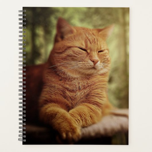 Tabby Planner (Voorkant)