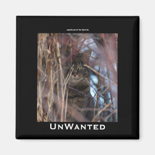 Tabby Sauvage Chat Démotivation Animal Magnet
