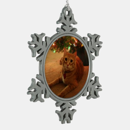 Tabby Snowflake Ornament (Links)