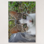 Tabby & White Cat Jigsaw Puzzle (Vertical)