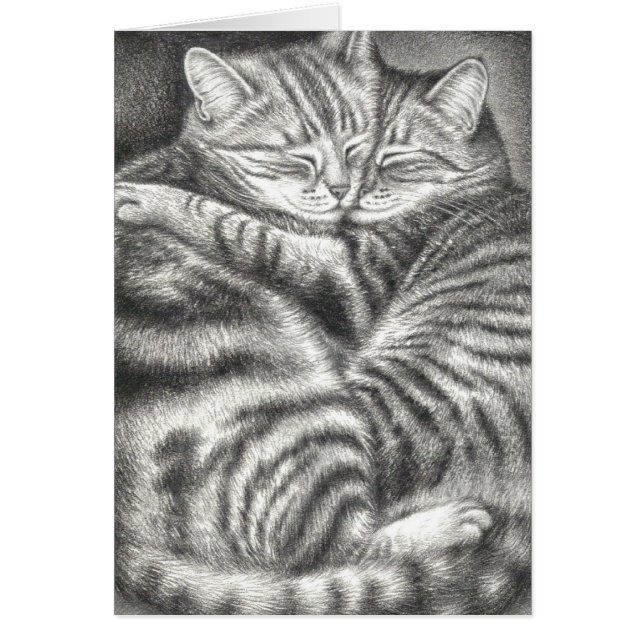 TABBYCATS HUGGGEN (Voorkant)