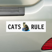 Tabbykat & aardbol bumpersticker (Op auto)