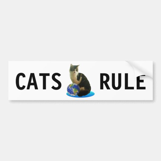 Tabbykat & aardbol bumpersticker (Voorkant)
