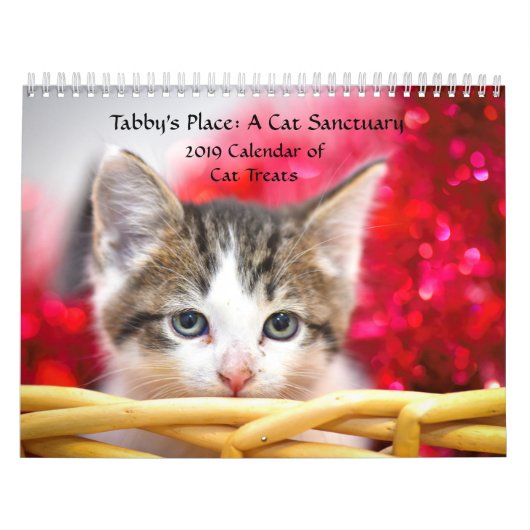 Tabby's Place Calendar Kalender (Hoes)