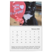 Tabby's Place Calendar Kalender (Feb 2026)