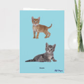 Tabbys Teacup Carte de voeux pliée (Dos)