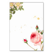 Tabel nr./ botanisch/pinitekaart kaart (Achterkant)