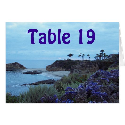 Tabel nummer opvang (Voorkant Horizontaal)