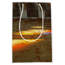 Tabernakelbladeren en licht - Martha's wijngaard