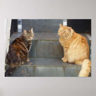 Tabitha Twitchit & Mungojerrie Poster