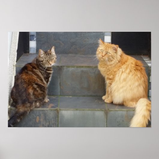 Tabitha Twitchit & Mungojerrie Poster (Voorkant)