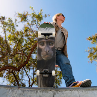 Tabla de Skate Mono Macaco Observando Skateboard