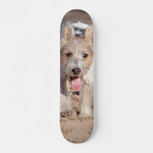 Tabla de Skate Perrito Parson Terrier Feliz Skateboard (Voorkant)