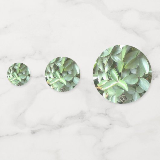 Table Photo Confetti (Derrière)