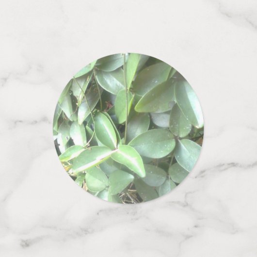 Table Photo Confetti (Petit recto)