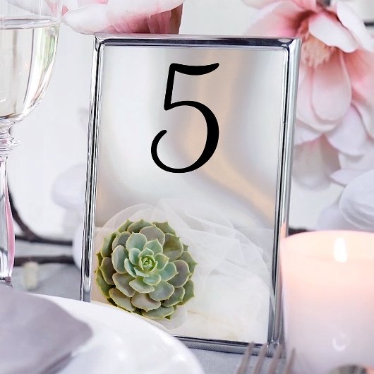 Table Succulent vert sur le Mariage blanc Numéro de tabl