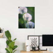 Tableau à trois fleurs de pissenlit (Bureau à domicile)