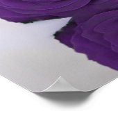 Tableau alphabétique du Rose royal pourpre (Coin)