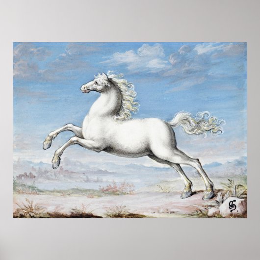 Tableau Cheval Blanc Joris Hoefnagel Renai Vintage (Devant)