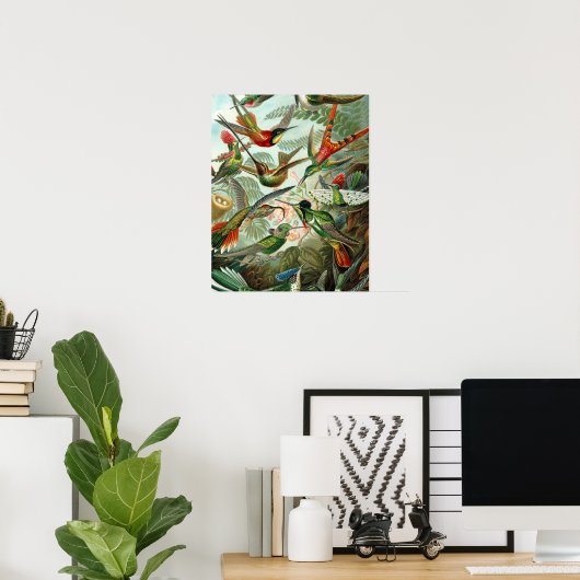 tableau classique de la faune des oiseaux colibris (Bureau à domicile)