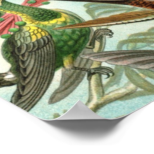 tableau classique de la faune des oiseaux colibris (Coin)