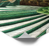 tableau classique de la faune des oiseaux colibris (Coin)