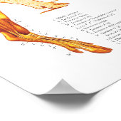 Tableau d'affichage Muscle de porc et anatomie du  (Coin)