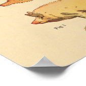 Tableau d'anatomie des muscles vétérinaires de por (Coin)