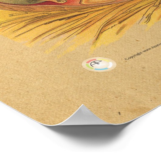 Tableau d'anatomie interne de poulets (Coin)