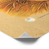 Tableau d'anatomie squelettique de poulets (Coin)