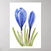 tableau d'aquarelle des boutons de crocus bleu (Devant)