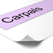 Tableau de la division osseuse principale de la ma (Coin)