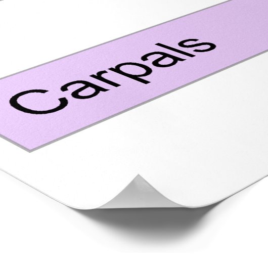 Tableau de la division osseuse principale de la ma (Coin)