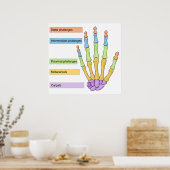 Tableau de la division osseuse principale de la ma (Cuisine)