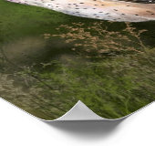 Tableau de l'affiche de la Chouette de l'Ouest (Coin)