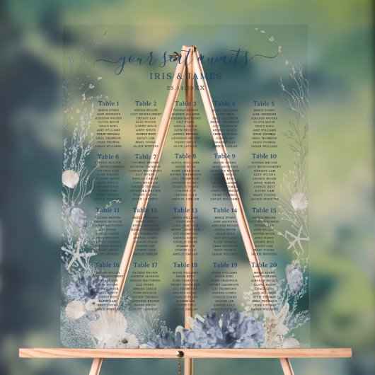 Tableau de placement de mariage bohème chic plage (Neutre)