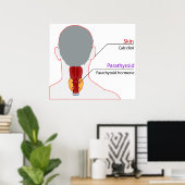 Tableau de régulation du calcium du système endocr (Bureau à domicile)