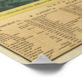 Tableau des hauteurs comparatives (Coin)