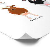 tableau des races de bovins (Coin)