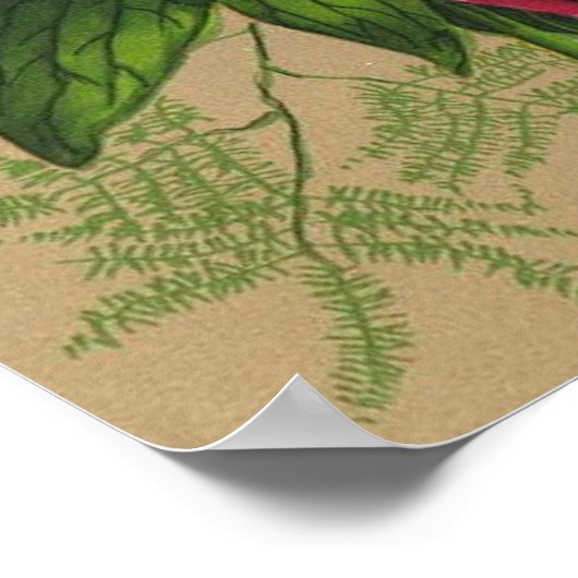 Tableau des roses rouges (Coin)