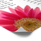 Tableau des sièges Mariages de marguerite tropical (Coin)