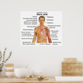 Tableau des utilisations possibles des traitements (Cuisine)