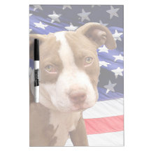 Chiot américain de Pitbull