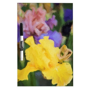 Tableau Effaçable À Sec gladiolus coloré en fleur