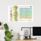 Tableau Français des Nerfs Spinaux de Subluxation (Bureau à domicile)